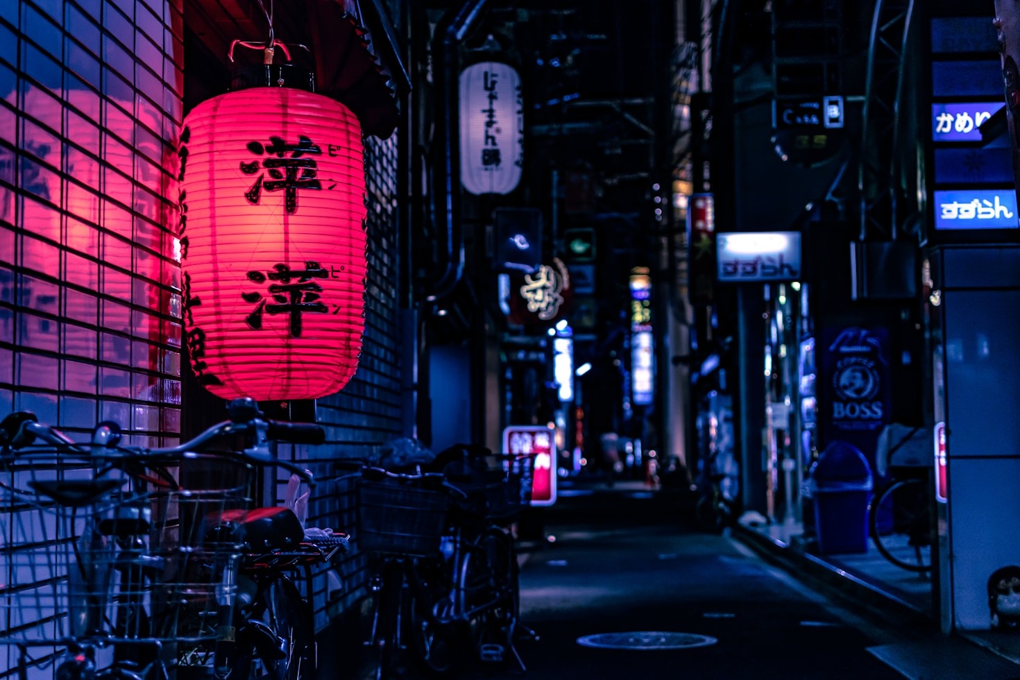 Dicas essenciais para adaptação no Japão